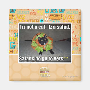 Aimant Iz I pas un chat. Iz une salade