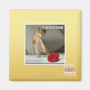 Aimant Iz pratiquant le tango d'heure-milliampère