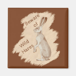 Aimant Jack Rabbit et ses amis