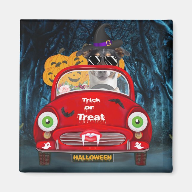 Aimant Jack Russell Chien voiture voiture effrayant Hallo (Devant)