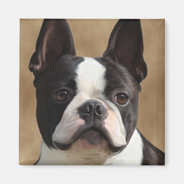 Aimant Jack the Boston terrier (Devant)