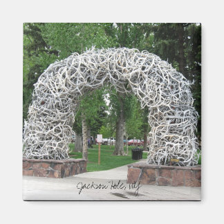 Aimant Jackson Hole Antler Arch