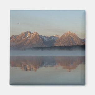 Aimant Jackson Lake Dam réflexion dans Grand Teton Park