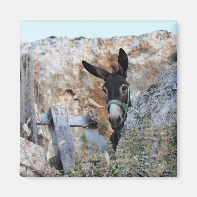 Aimant J'adore les Donkeys ! (Devant)