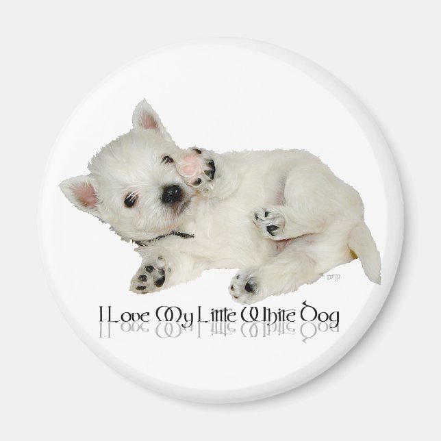 Aimant J'adore mon petit chien blanc - chiot Westie (Devant)
