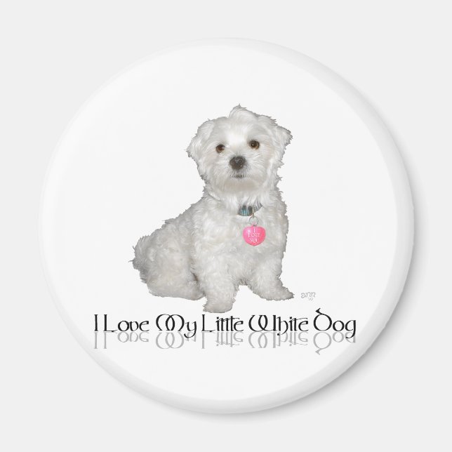 Aimant J'adore mon petit chien blanc - Maltese ! (Devant)
