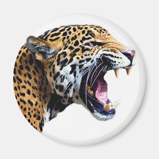 Aimant jaguar
