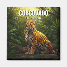 Jaguar dans le parc national du Corcovado Costa Ri