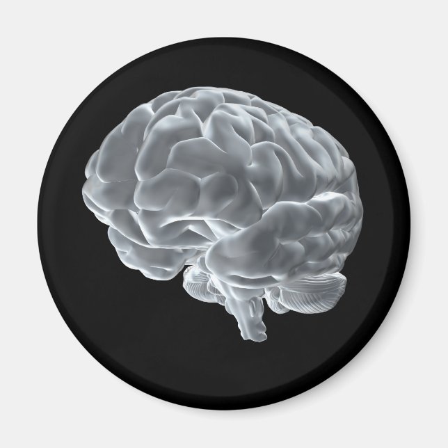 Aimant J'ai des cerveaux ! (Devant)