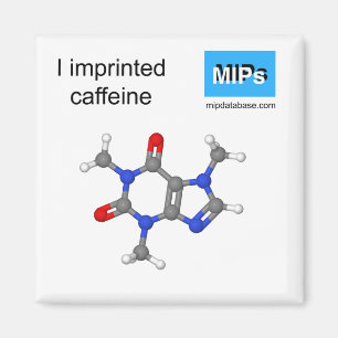 Aimant J'ai imprimé la boule magnétique de la caféine et