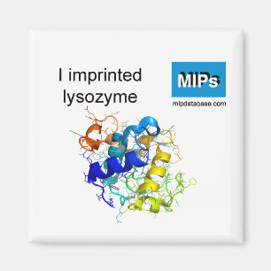 Aimant J'ai imprimé l'aimant lysozyme