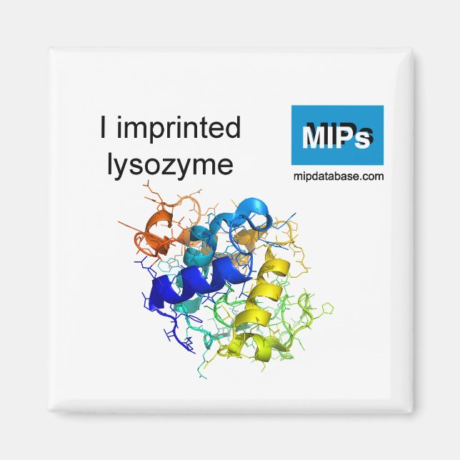 Aimant J'ai imprimé l'aimant lysozyme (Devant)