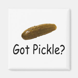 Aimant J'ai Pickle
