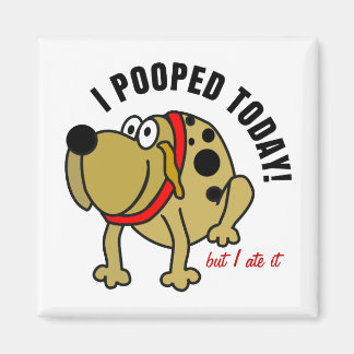 Aimant J'Ai Poopé Aujourd'Hui