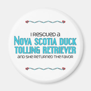 Aimant J'ai secouru un chien d'arrêt de tintement de