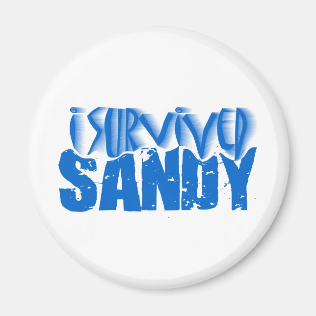 Aimant j'ai survécu à SANDY (Devant)