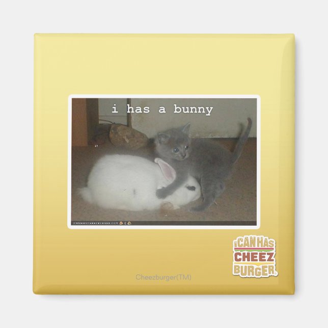 Aimant J'ai un lapin (Devant)