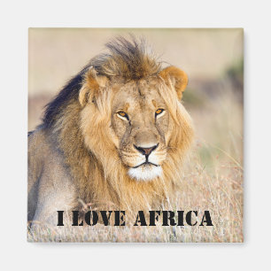 Aimant J'aime Afrique Majestic photo de lion