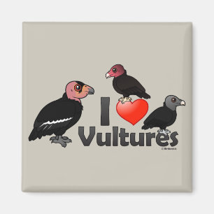 Aimant J'aime des vautours (Amérique du Nord)
