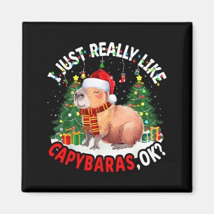 Aimant J'aime Juste Vraiment Les Capybaras Ok Capybara An