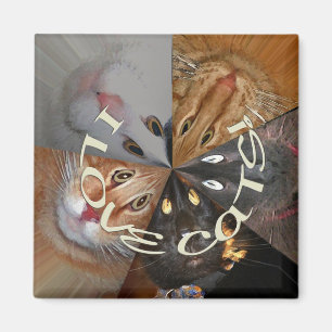 Aimant J'aime l'aimant de chats