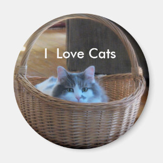 Aimant J'aime les chats