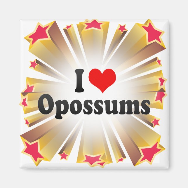 Aimant J'aime les opossum (Devant)