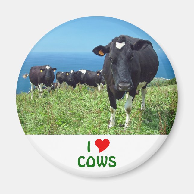 Aimant J'aime les vaches (Devant)