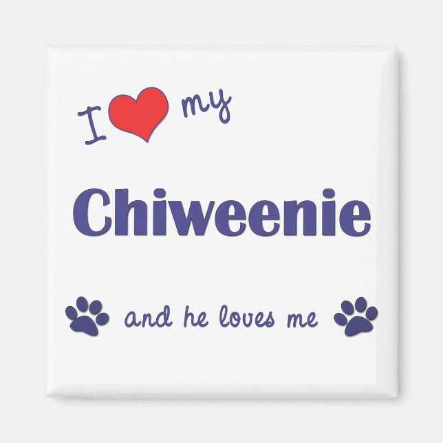 Aimant J'Aime Ma Chiweenie (Chien Homme) (Devant)