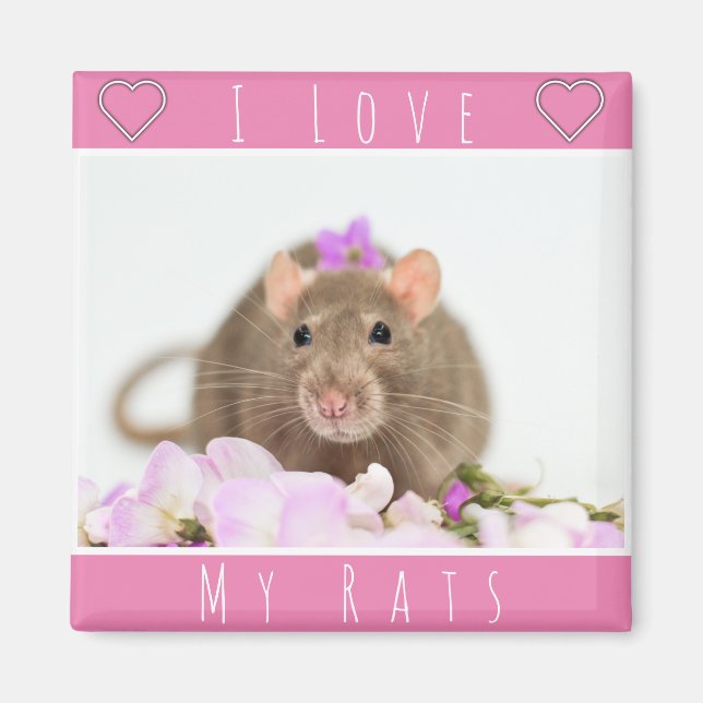 Aimant J'Aime Mes Rats (Devant)