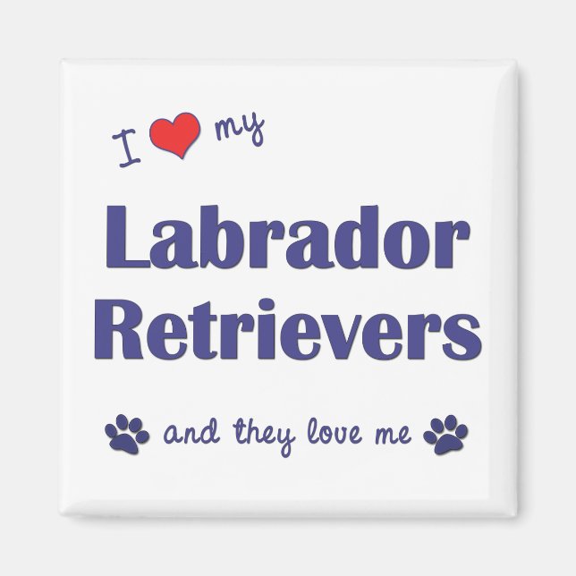 Aimant J'Aime Mes Récupérateurs Labrador (Chiens Multiple (Devant)
