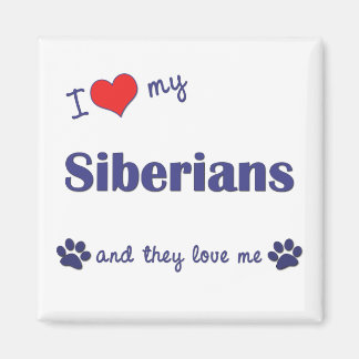 Aimant J'Aime Mes Sibériens (Chats Multiples)
