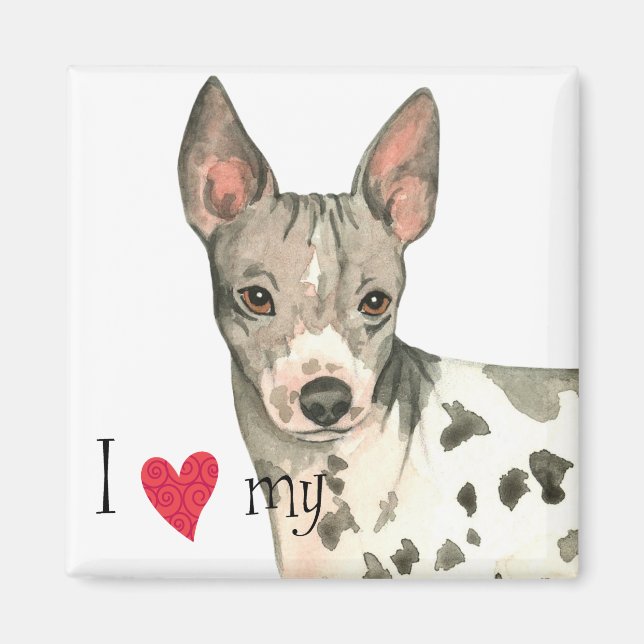 Aimant J'aime mon American Hairless Terrier (Devant)
