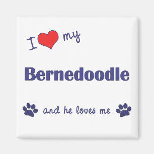 Aimant J'Aime Mon Bernedoodle (Chien Homme)