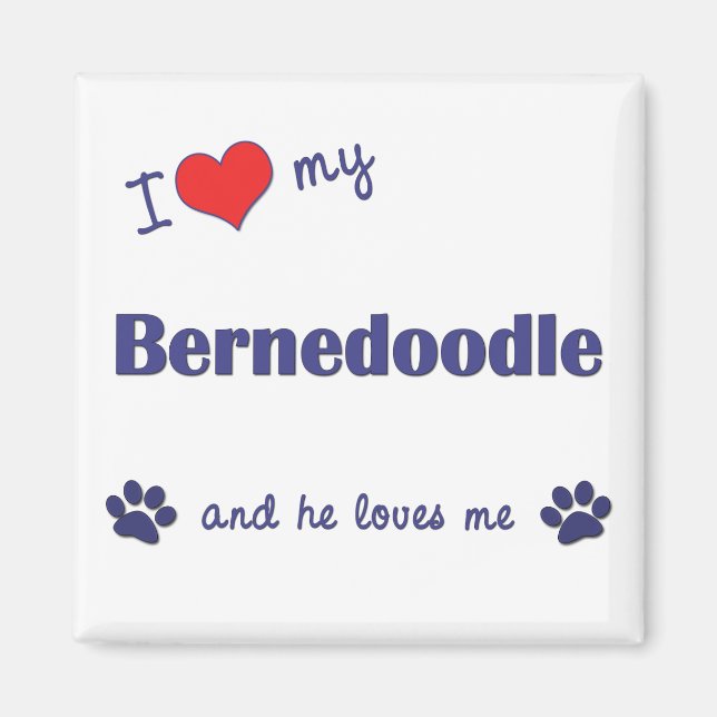 Aimant J'Aime Mon Bernedoodle (Chien Homme) (Devant)