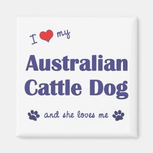 Aimant J'aime mon chien australien de bétail (le chien