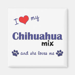 Aimant J'aime mon mélange de chiwawa (le chien femelle)