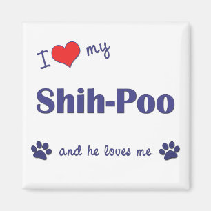 Aimant J'Aime Mon Shih-Poo (Chien Homme)