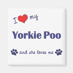 Aimant J'aime mon Yorkie Poo (le chien femelle)
