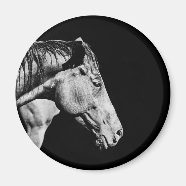 Aimant jambe de cheval (Devant)