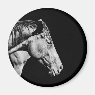 Aimant jambe de cheval de tête