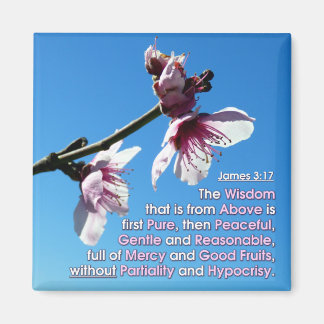 Aimant James 3v17 - Sagesse d'en haut