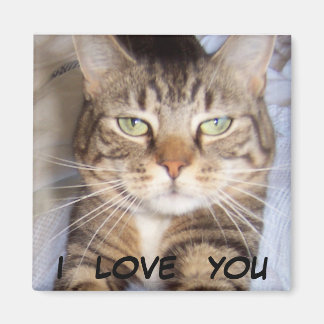 Aimant Jane dit... je T'AIME