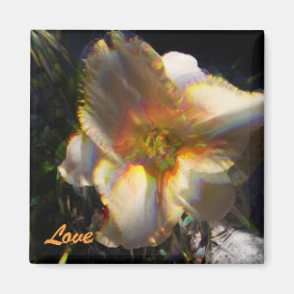 Aimant Janice's Lilly, Love