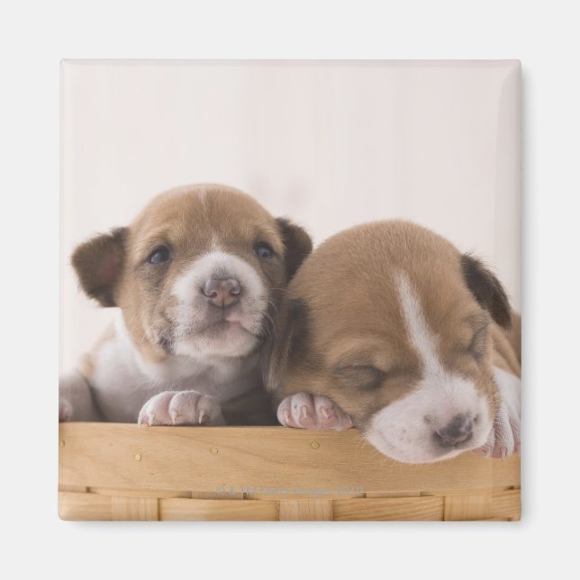 Aimant Japon (Devant)