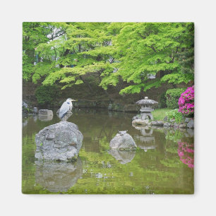 Aimant Japon, Kyoto. Héron dans les feuilles verts