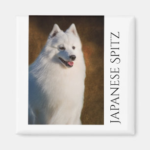 Aimant japonais de réfrigérateur de Spitz
