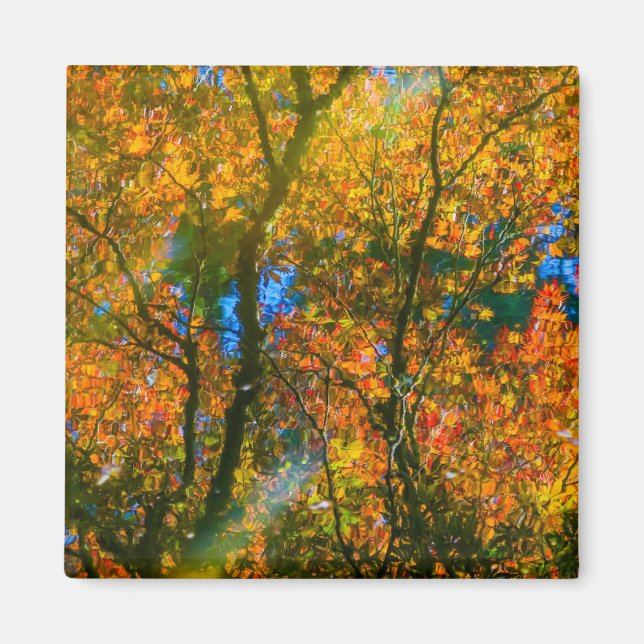 Aimant Jardin botanique VanDusen Vancouver, Canada (Devant)