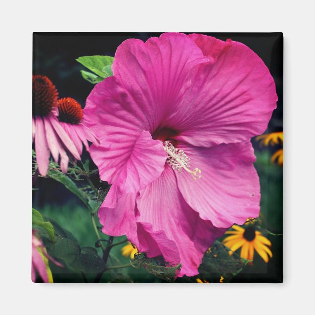 Aimant Jardin de fleurs d'hibiscus et d'amis  (Devant)