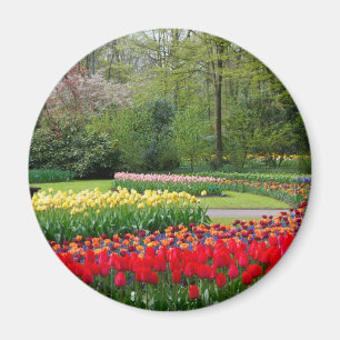 Aimant Jardin de Tulip